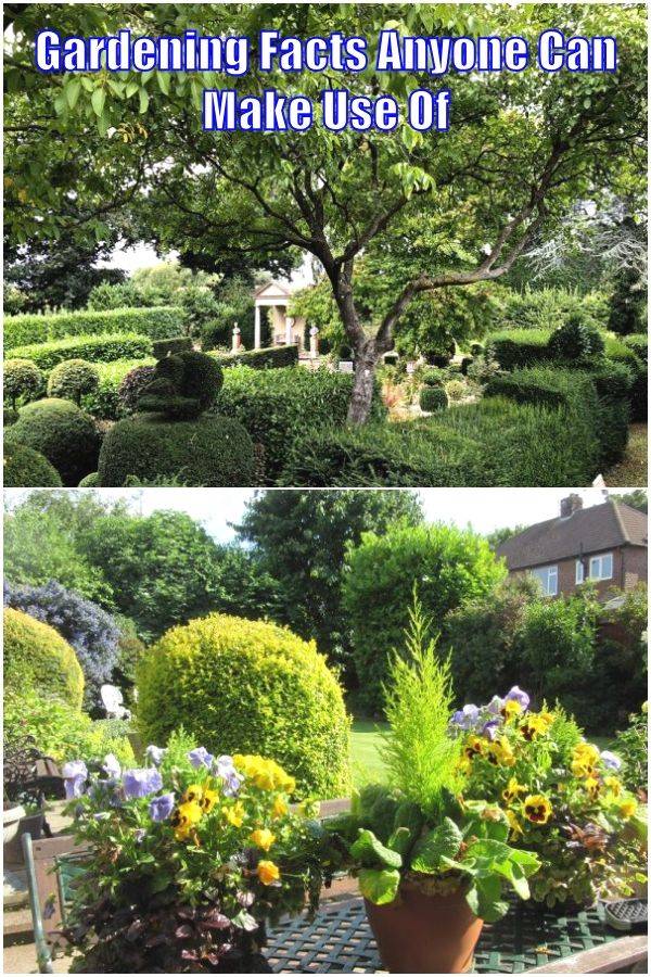 Shade Gardening Secrets Youtube