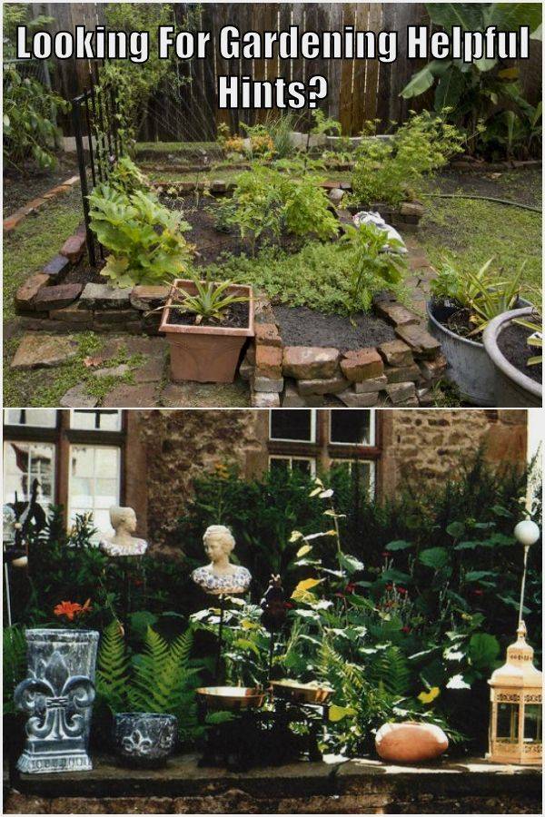 Simple Home Gardening Secrets And Techniques You Should Know