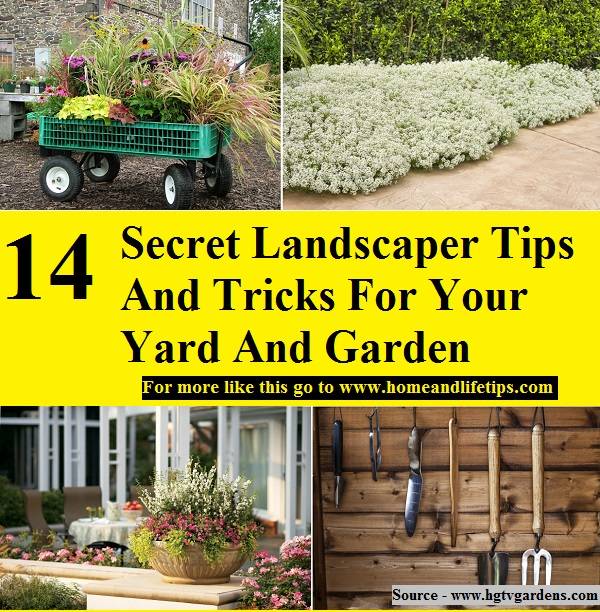 Simple Home Gardening Secrets And Techniques You Should Know