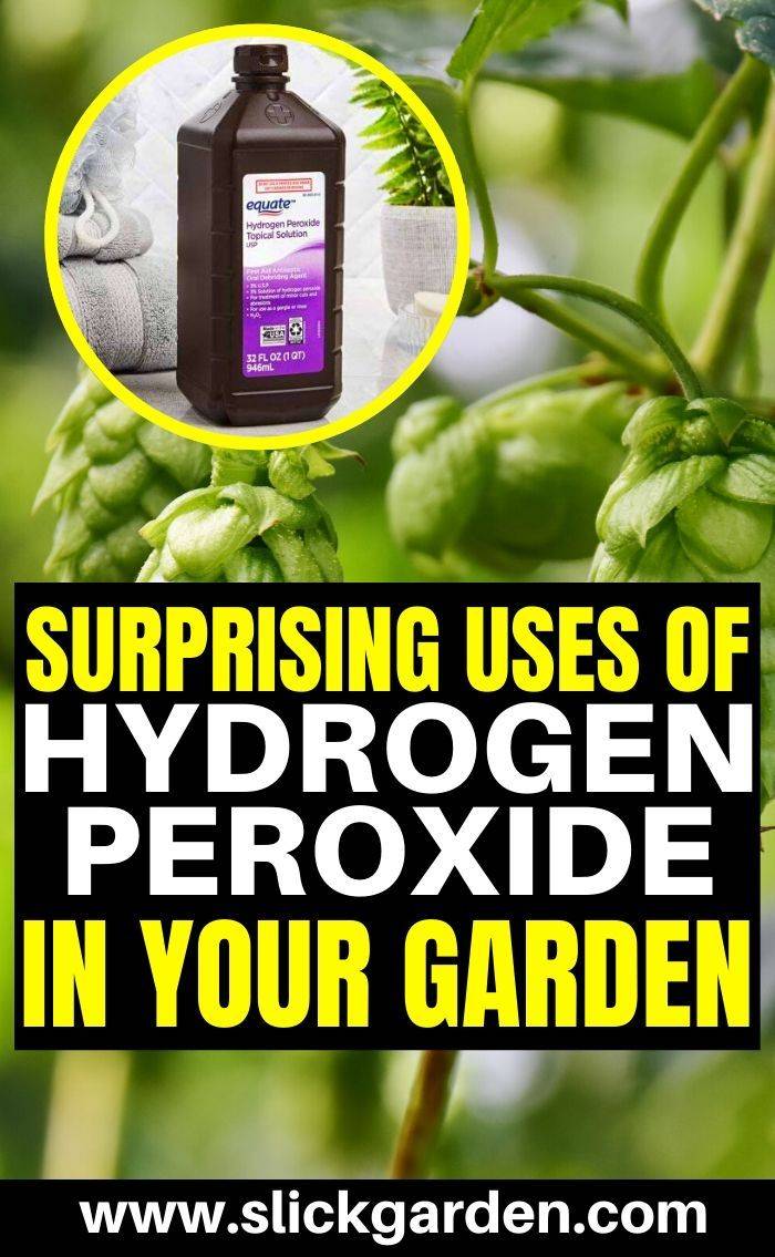 Hydrogen Peroxide