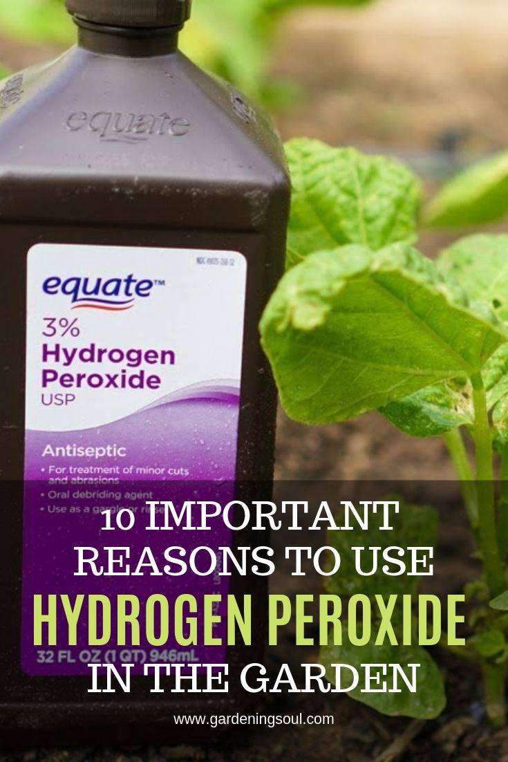 Hydrogen Peroxide