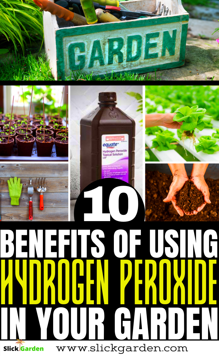 Hydrogen Peroxide