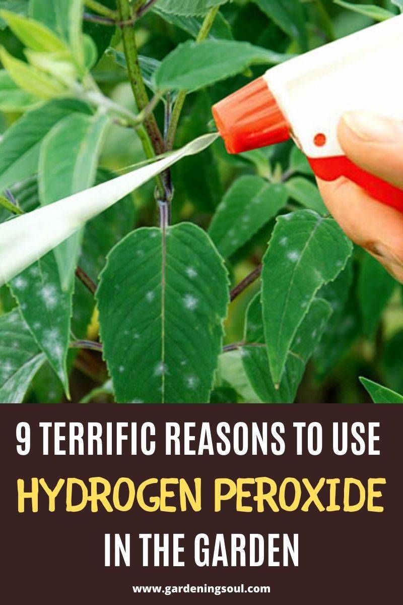 Hydrogen Peroxide