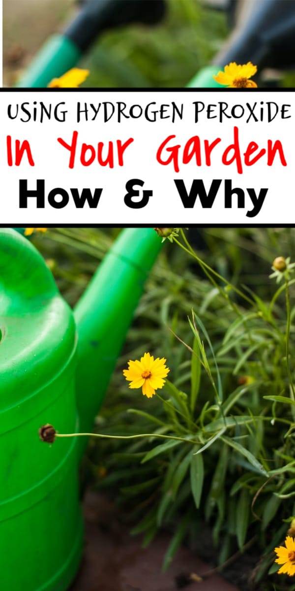 The Gardengarden Peroxide