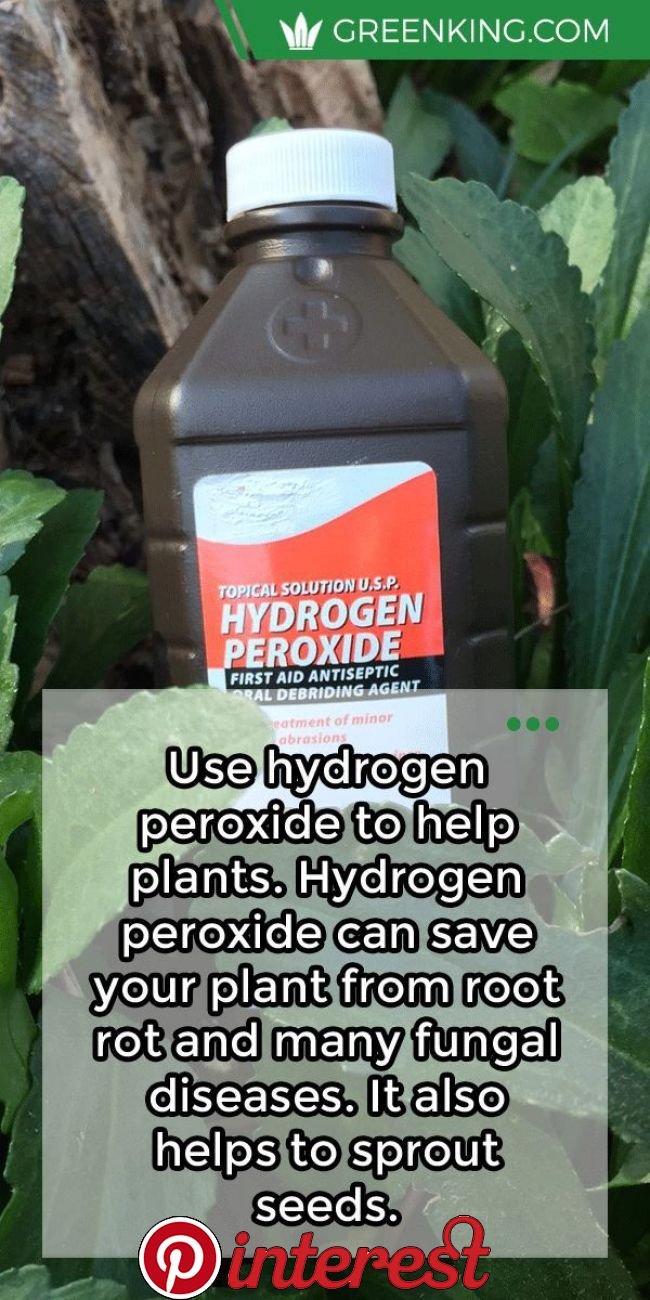Use Hydrogen Peroxide