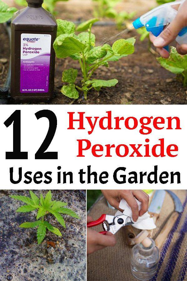 Hydrogen Peroxide
