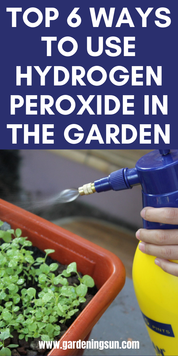 Unbelievable Hydrogen Peroxide Uses In Garden You Should Know Balcony
