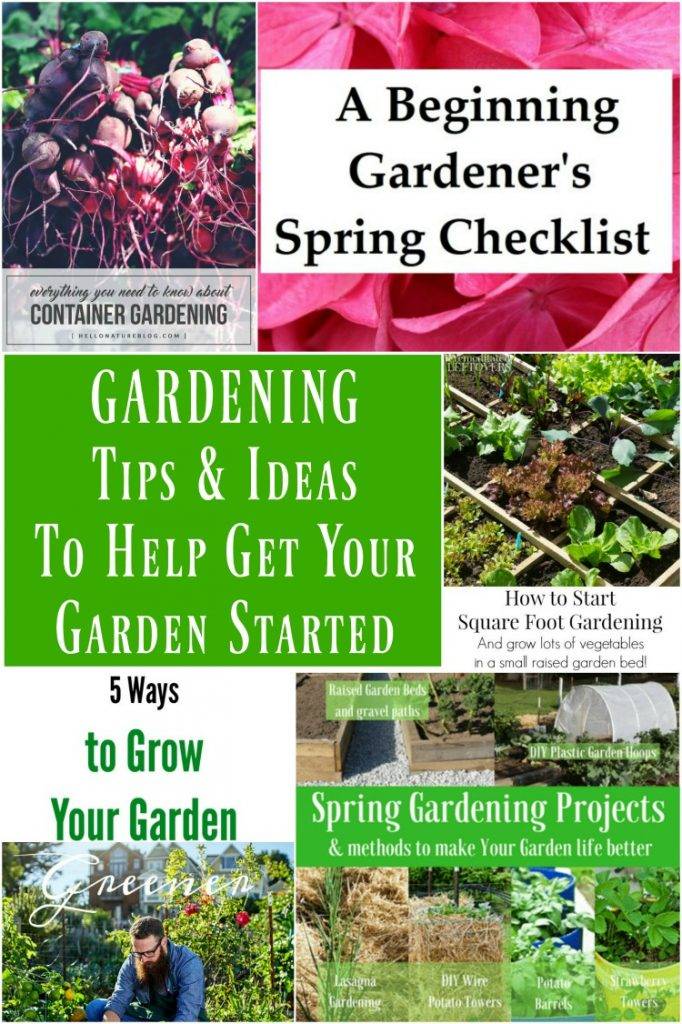 Beginner Gardening