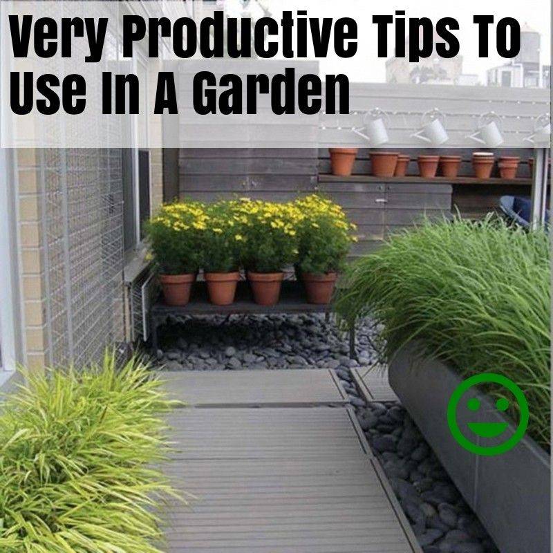 Container Gardening Tip List