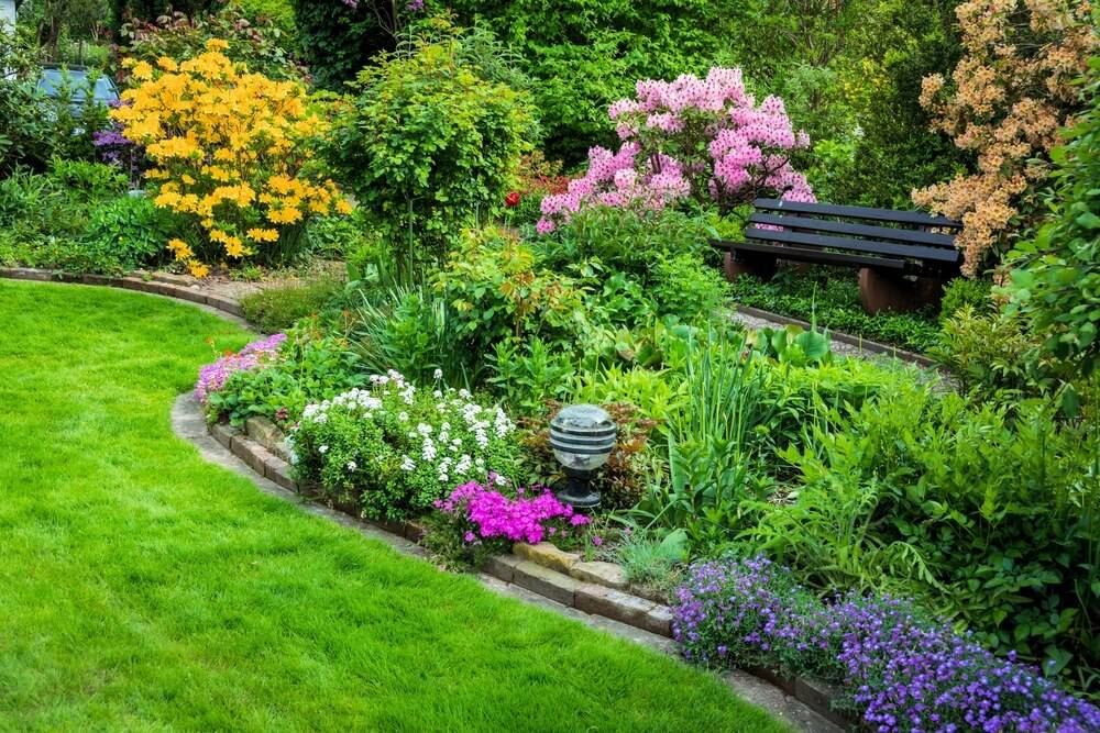 Gardening Tips