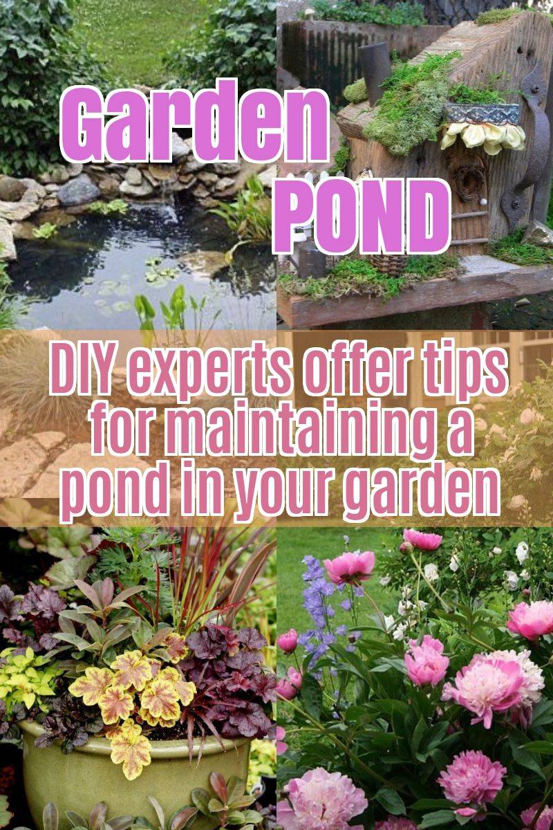 Gardening Tips