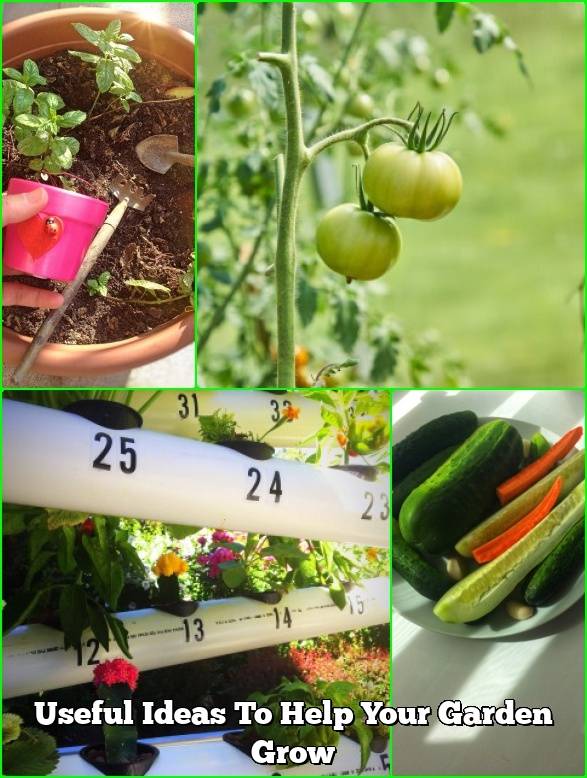 Gardening Tips