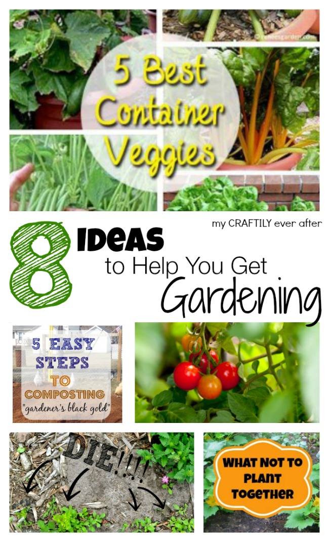 Your Organic Farming