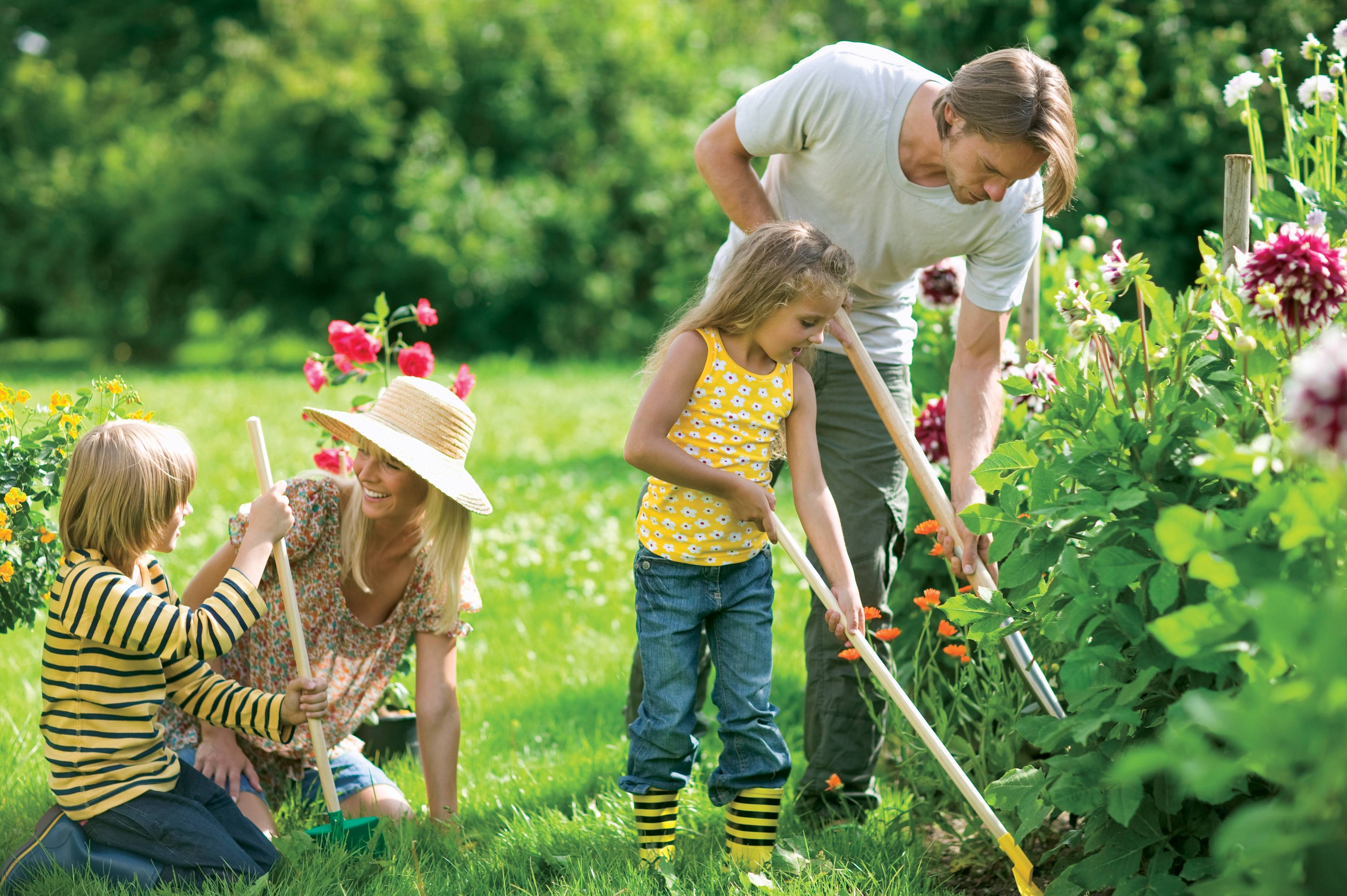 Your Organic Garden