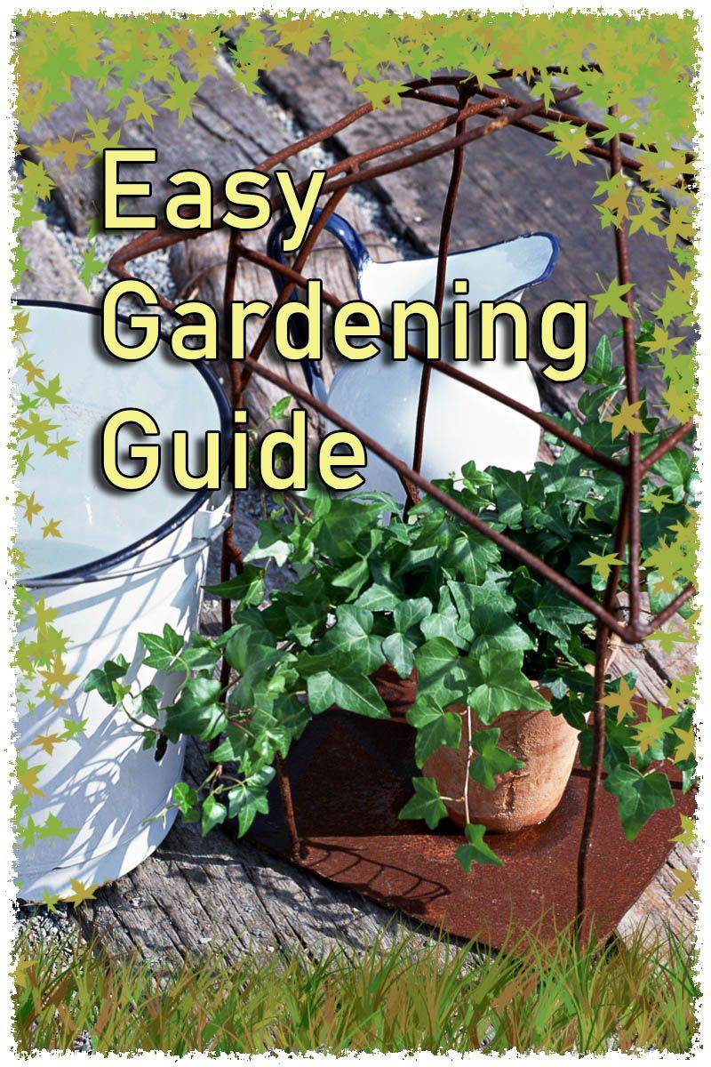 Small Backyard Ideas