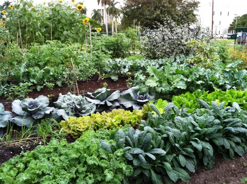 Organic Gardening Home Deco