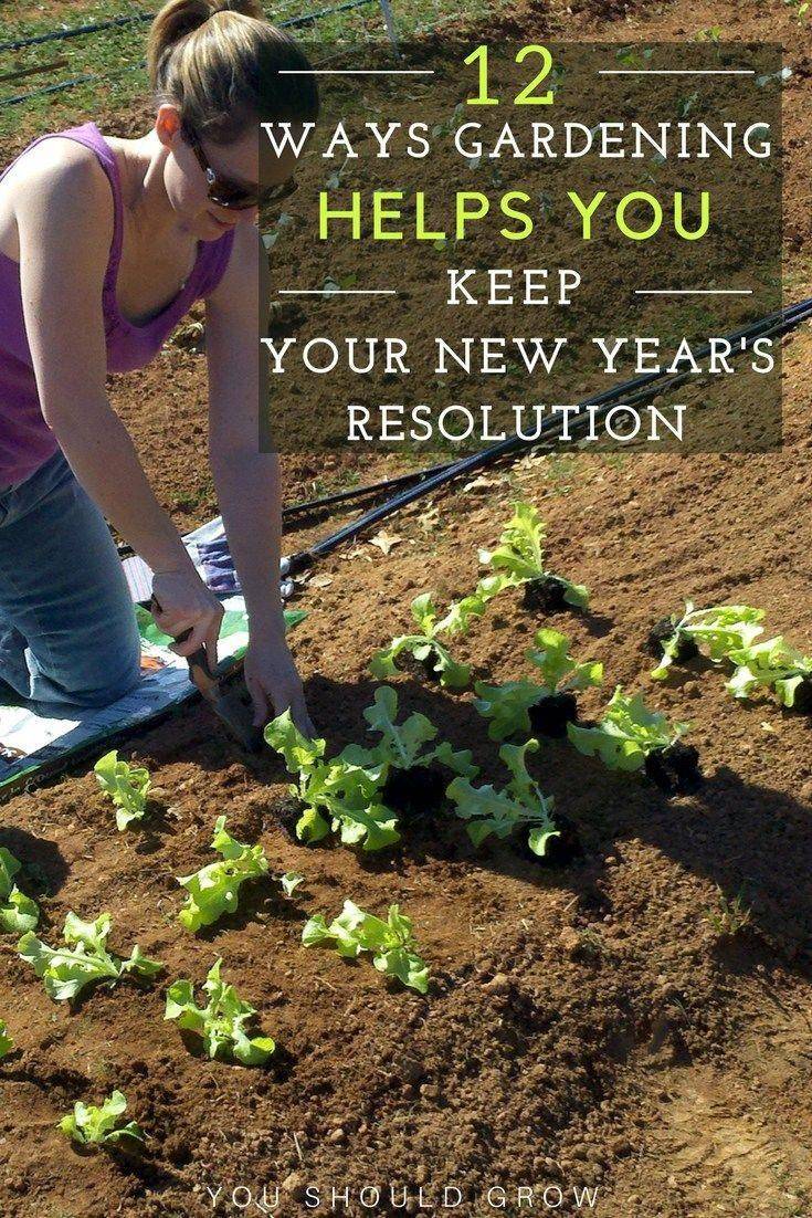 Toddler Gardening Ideas