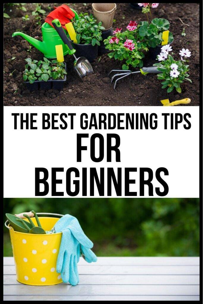 Vegetable Gardening News