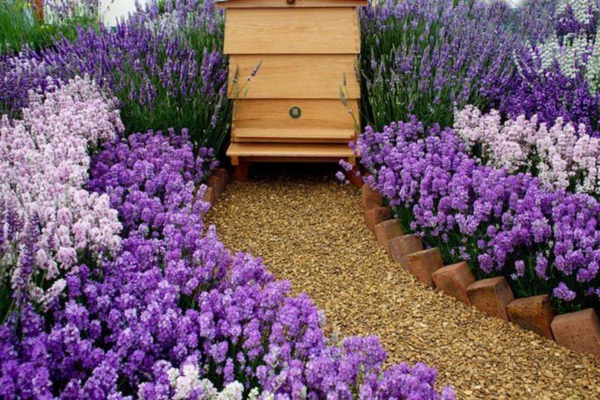 Bee Friendly Ideas