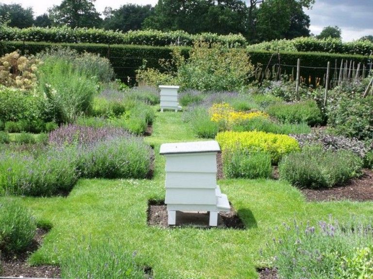 Bees Friendly Garden Design