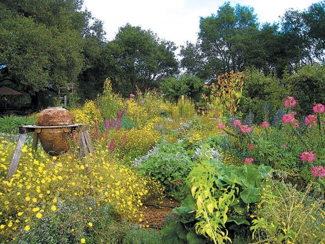 Pollinator Garden Design Wild Bee Garden Design