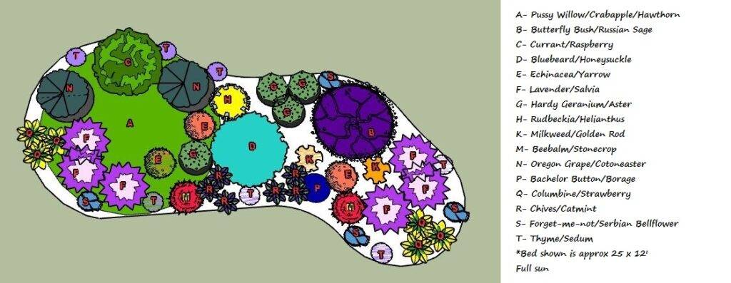 Best Bee Friendly Garden Designs