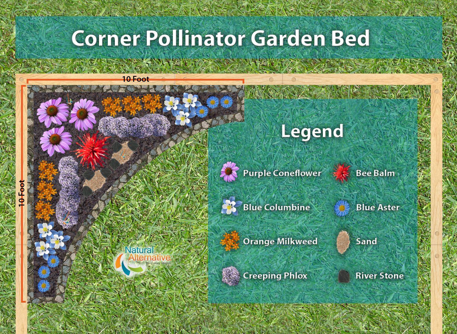 Pollinator Garden Plan