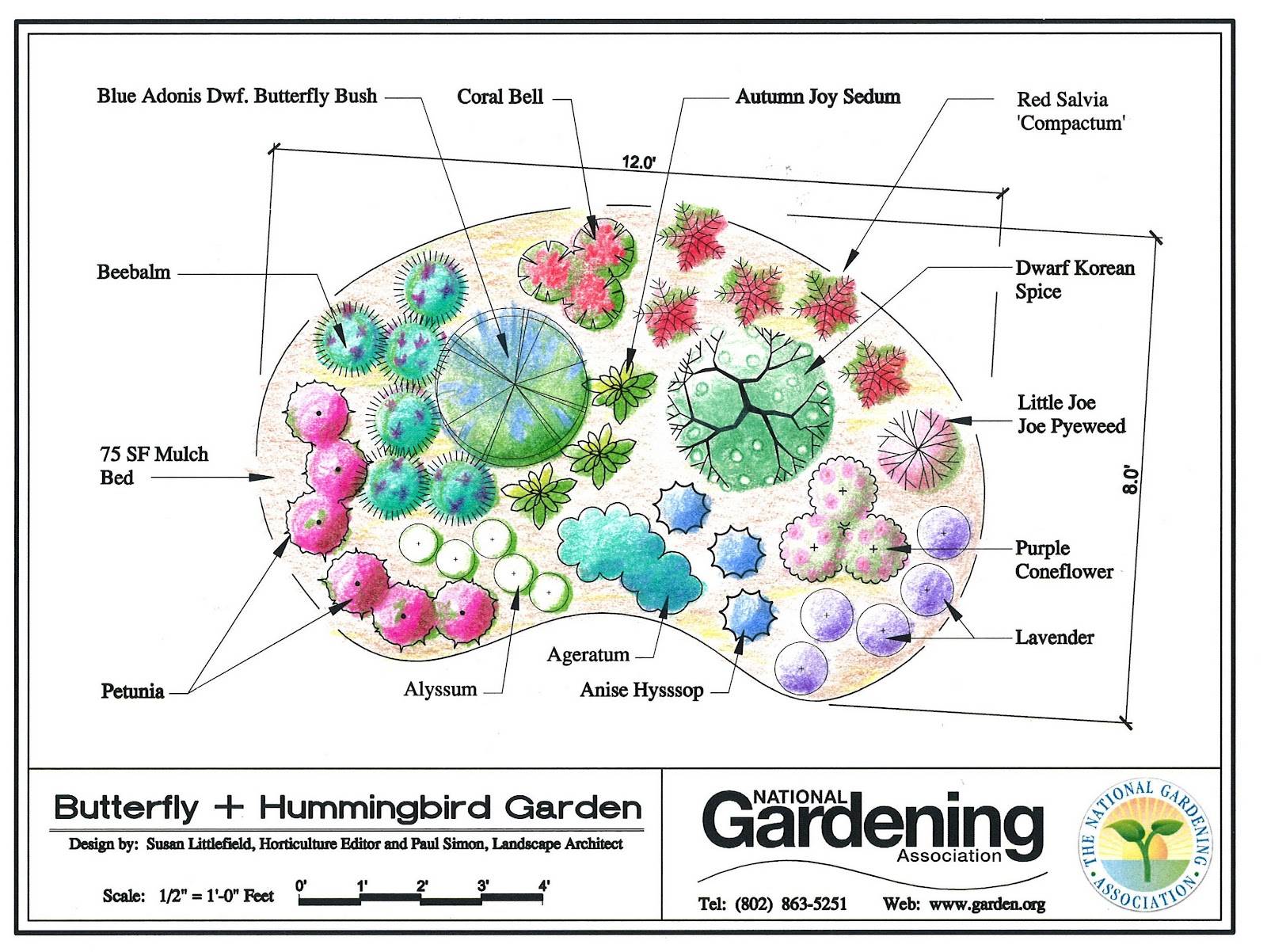 Gardening Hummingbird Garden