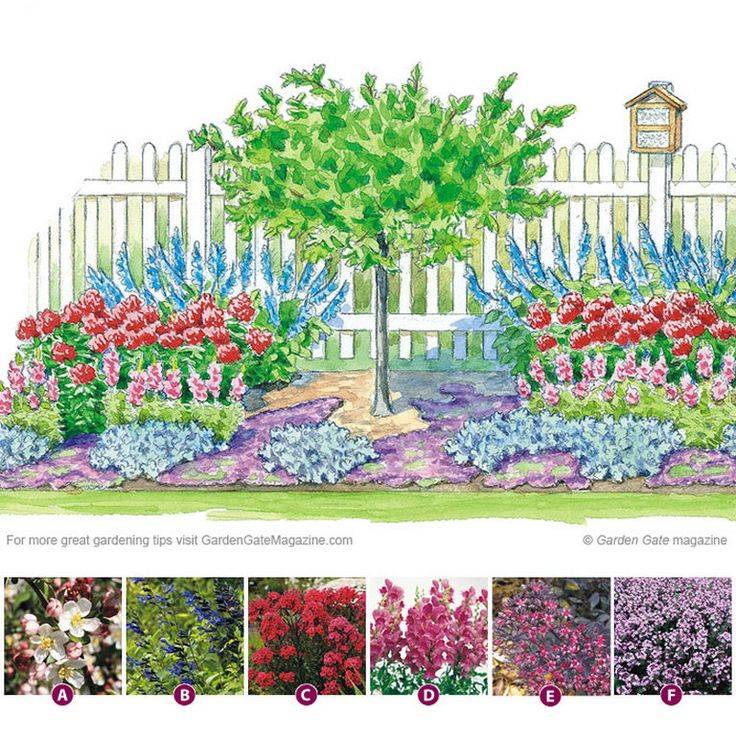 Hummingbird Garden Plan