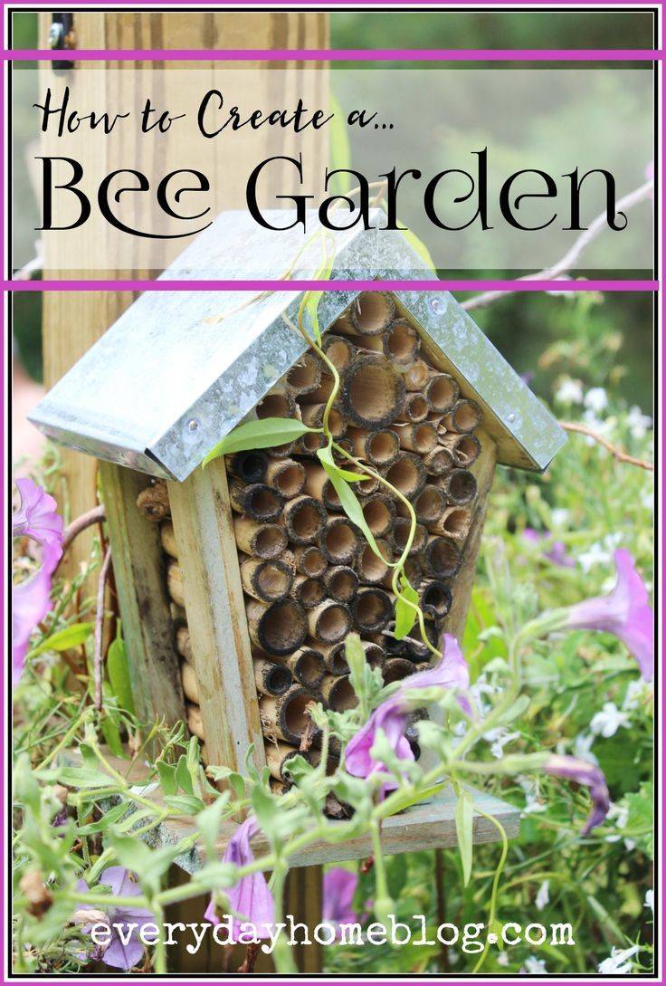 Bee Friendly Ideas