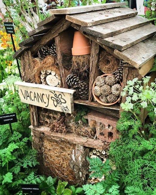 Best Bee Friendly Garden Designs