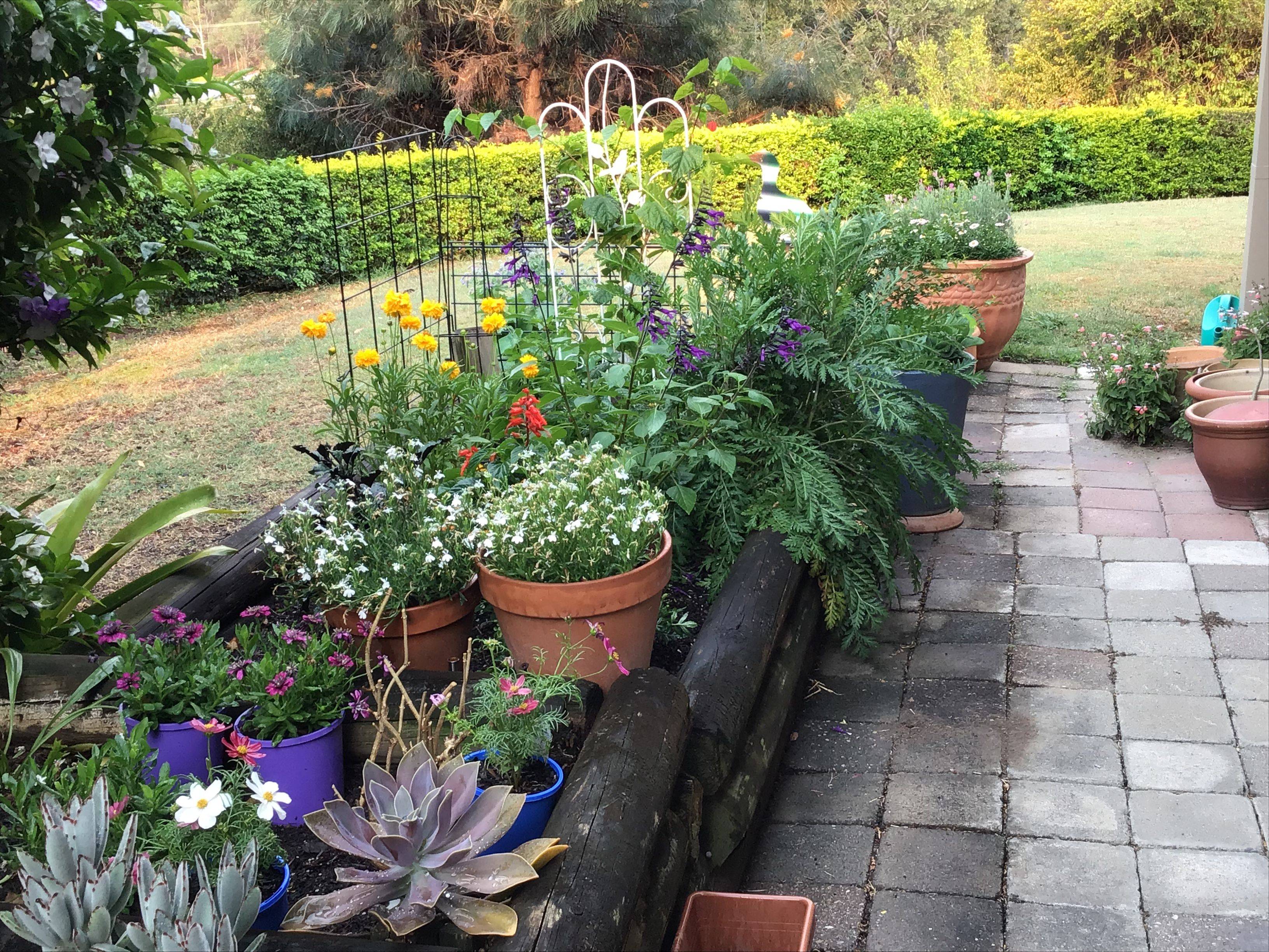 Bee And Butterfly Border Collection M X Cm Homebase