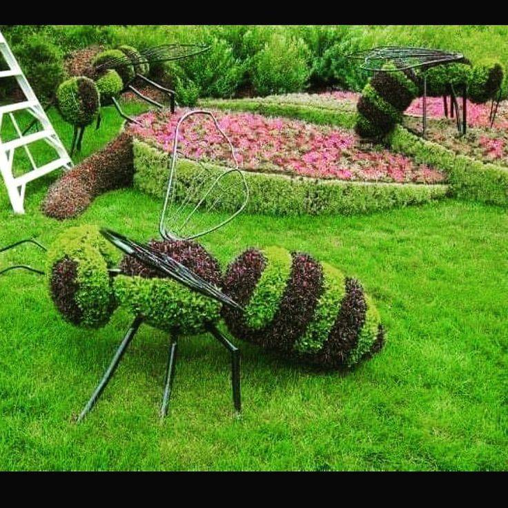 Best Bee Friendly Garden Designs