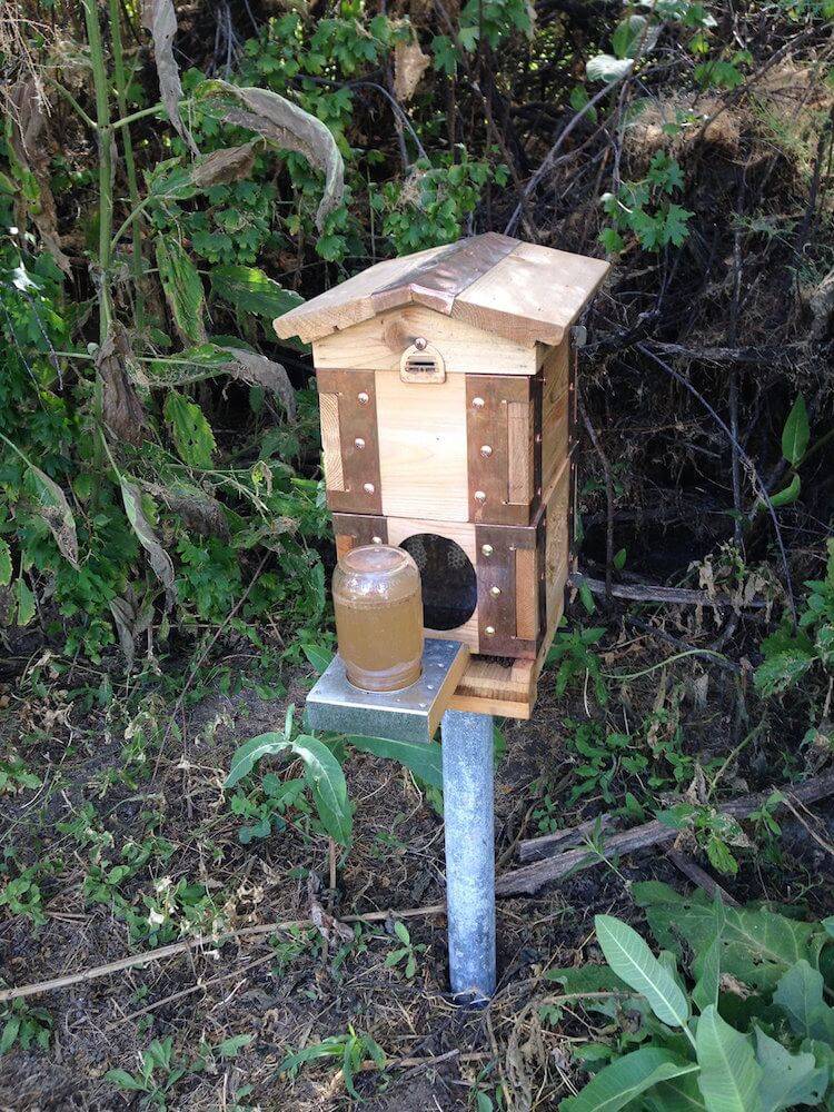 Beautiful Backyard Bee Hives