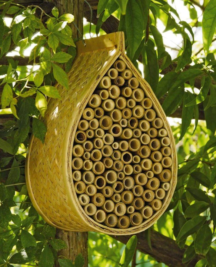 Beautiful Backyard Bee Hives