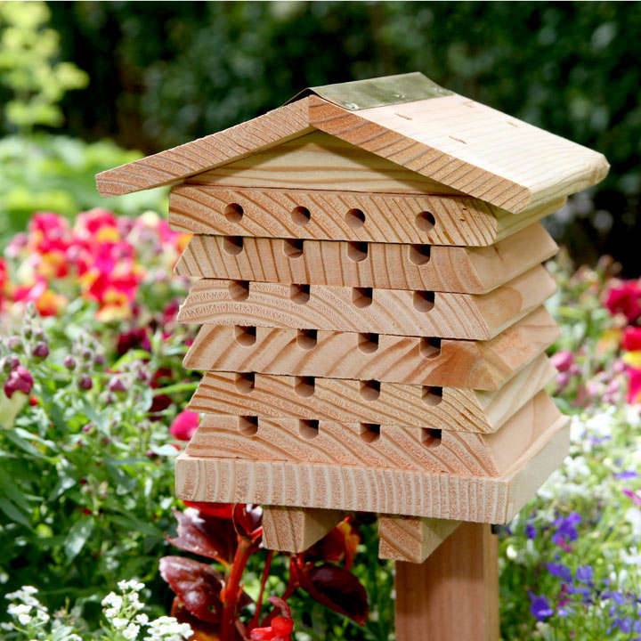 Beautiful Backyard Bee Hives Home Stratosphere