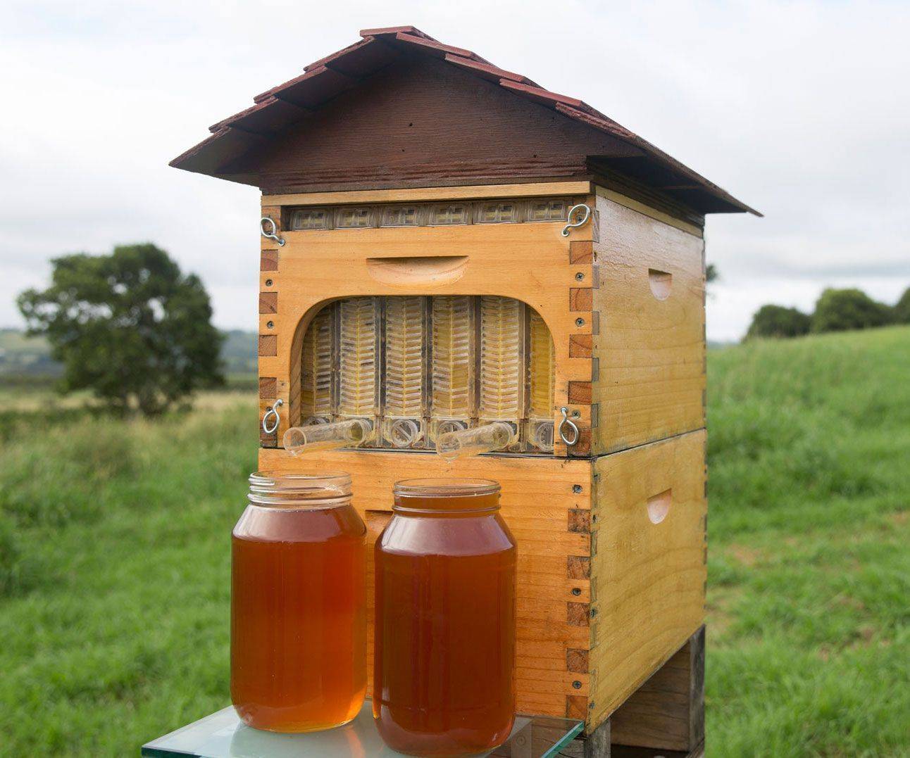 Beautiful Backyard Bee Hives Home Stratosphere
