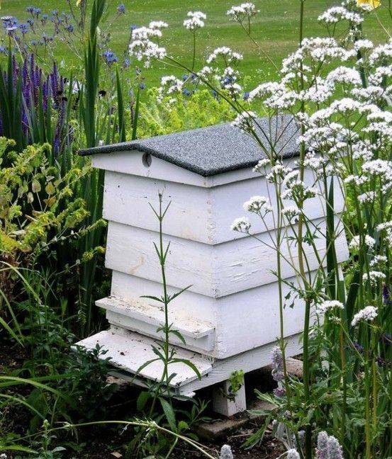 The Gardener Seeking Honeybee