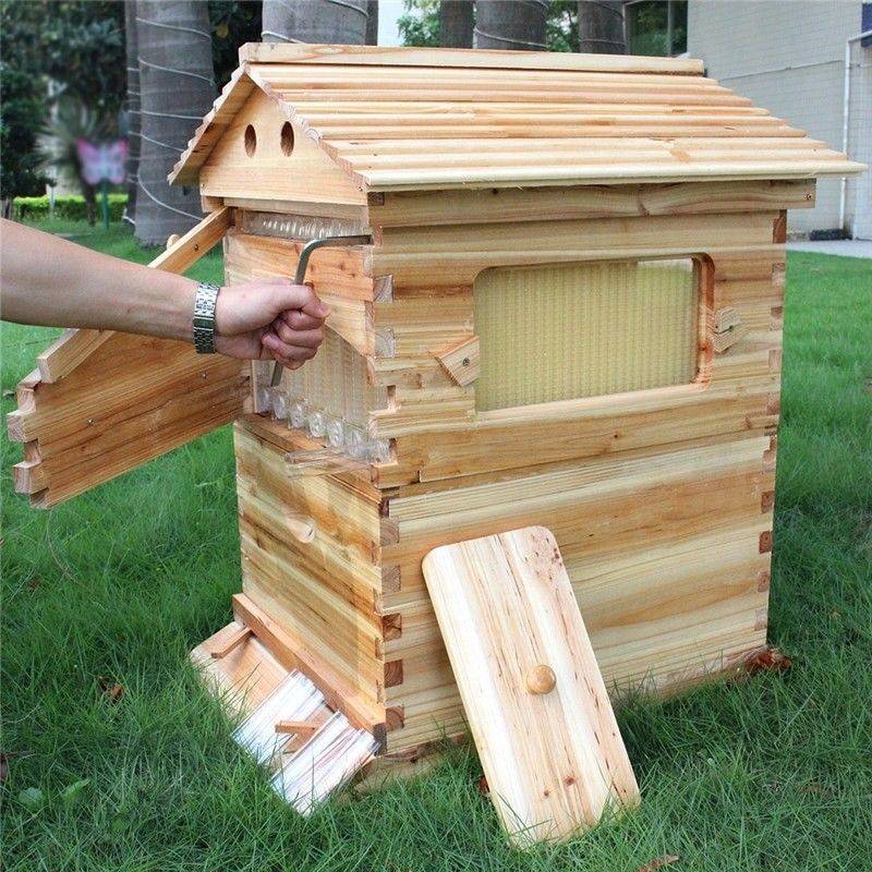 Bee Hive Backyard Beehive