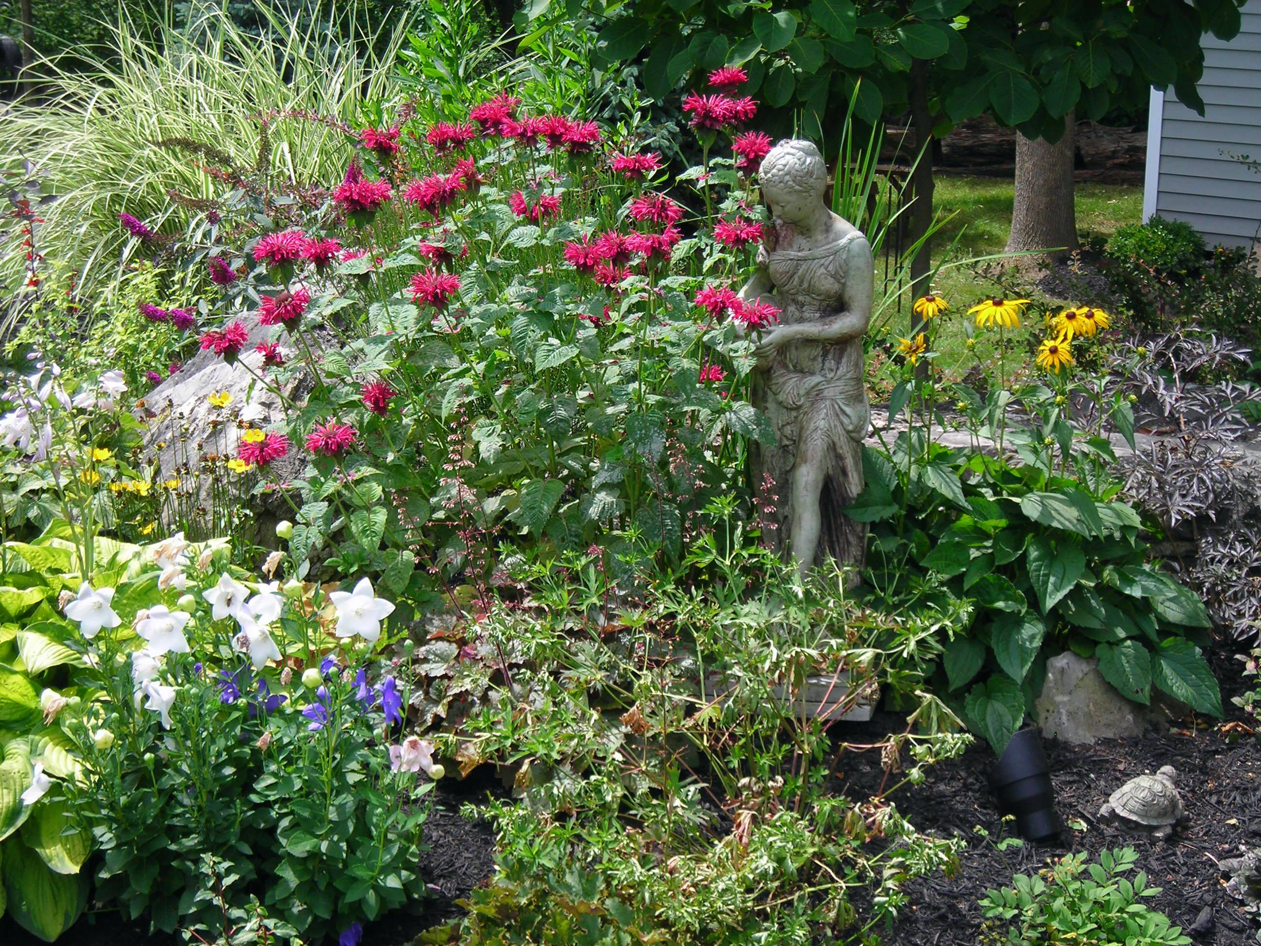 Inspiring Butterfly Garden Design Ideas