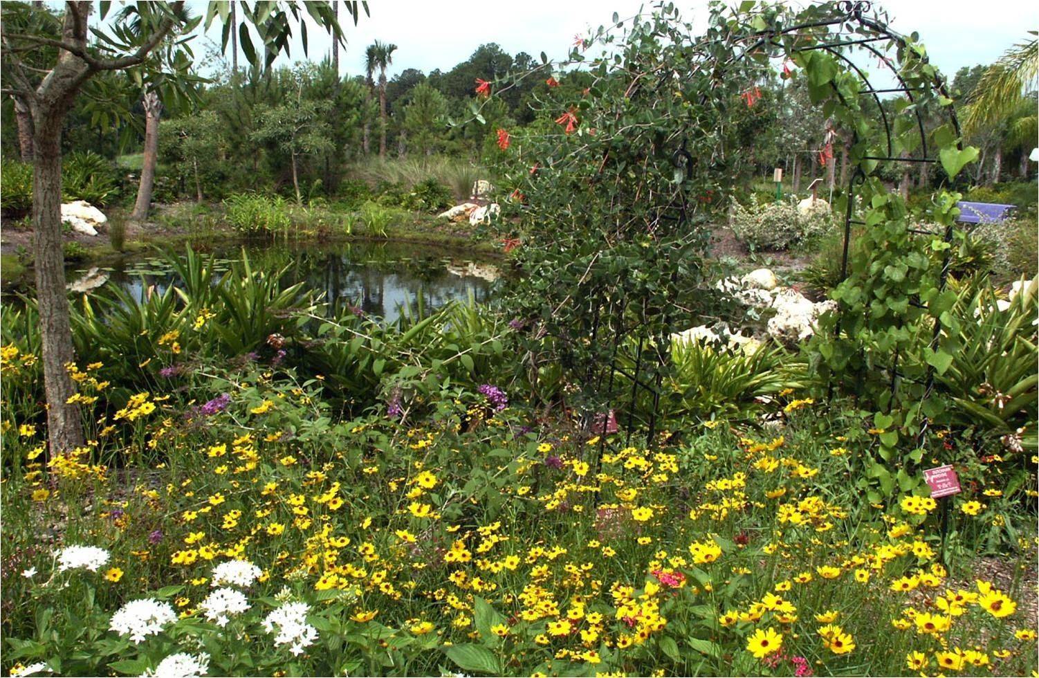 Butterfly Garden Design Perennial Garden Plans