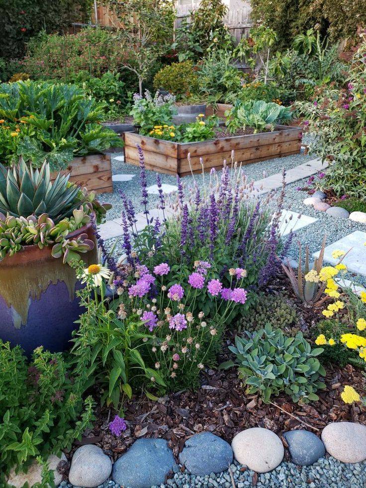 X X Butterfly Pollinator Garden