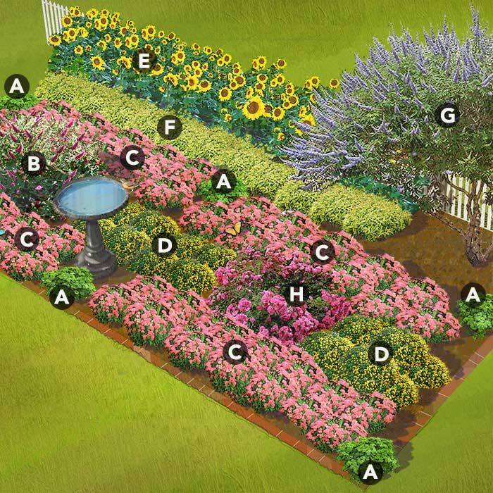 Gardening Butterflies