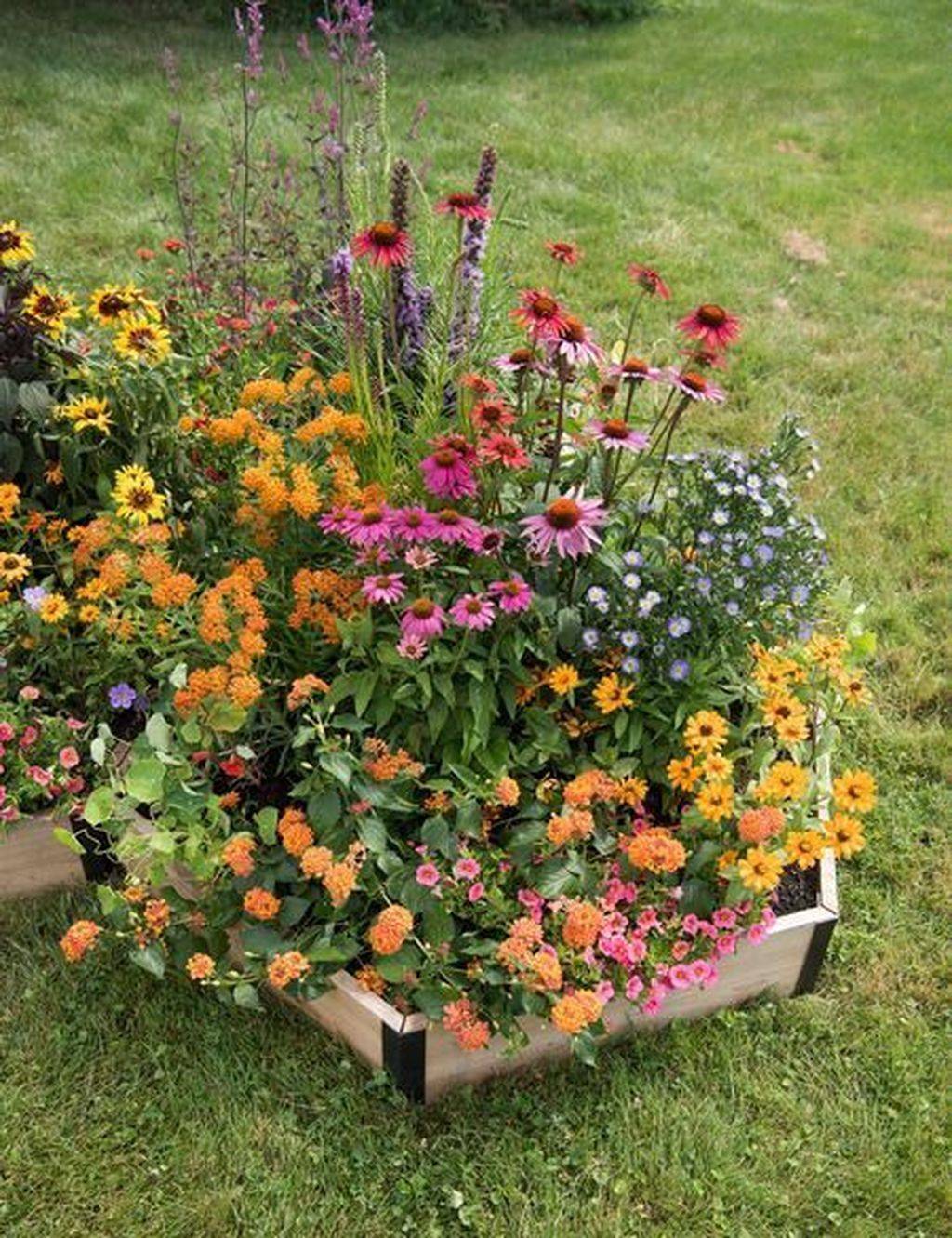 A Pollinator Garden