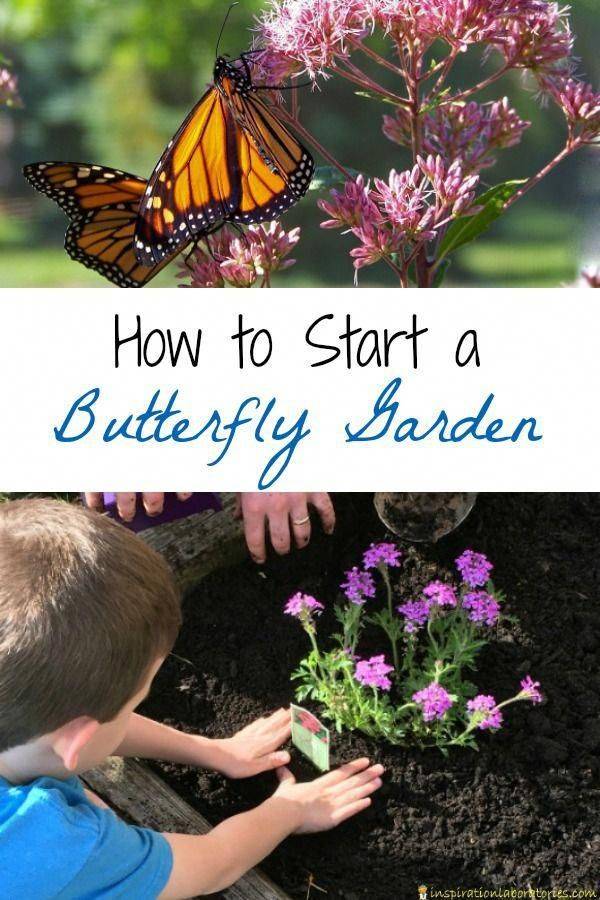 Pollinator Garden Recipe