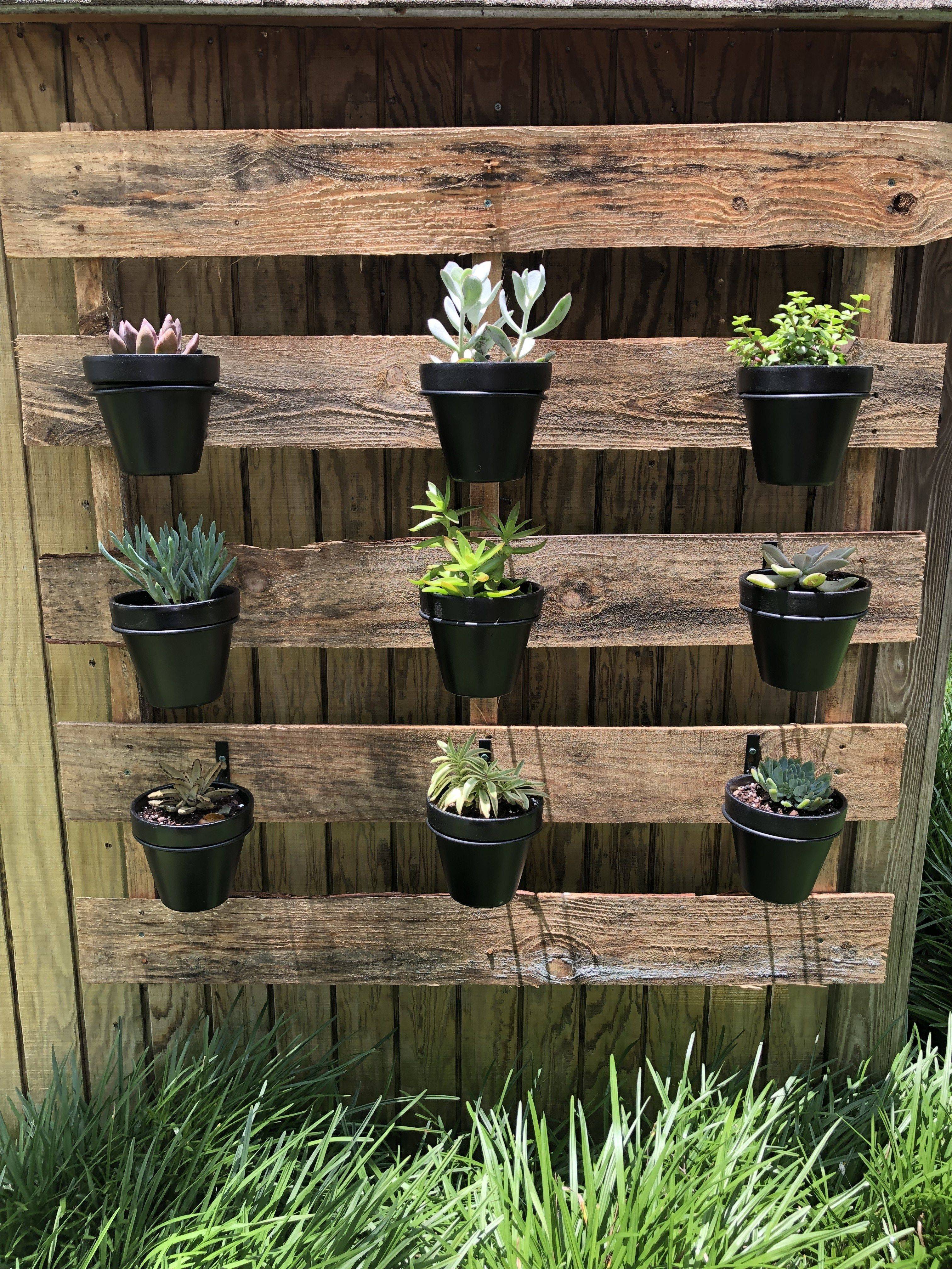 Wall Planter Ideas