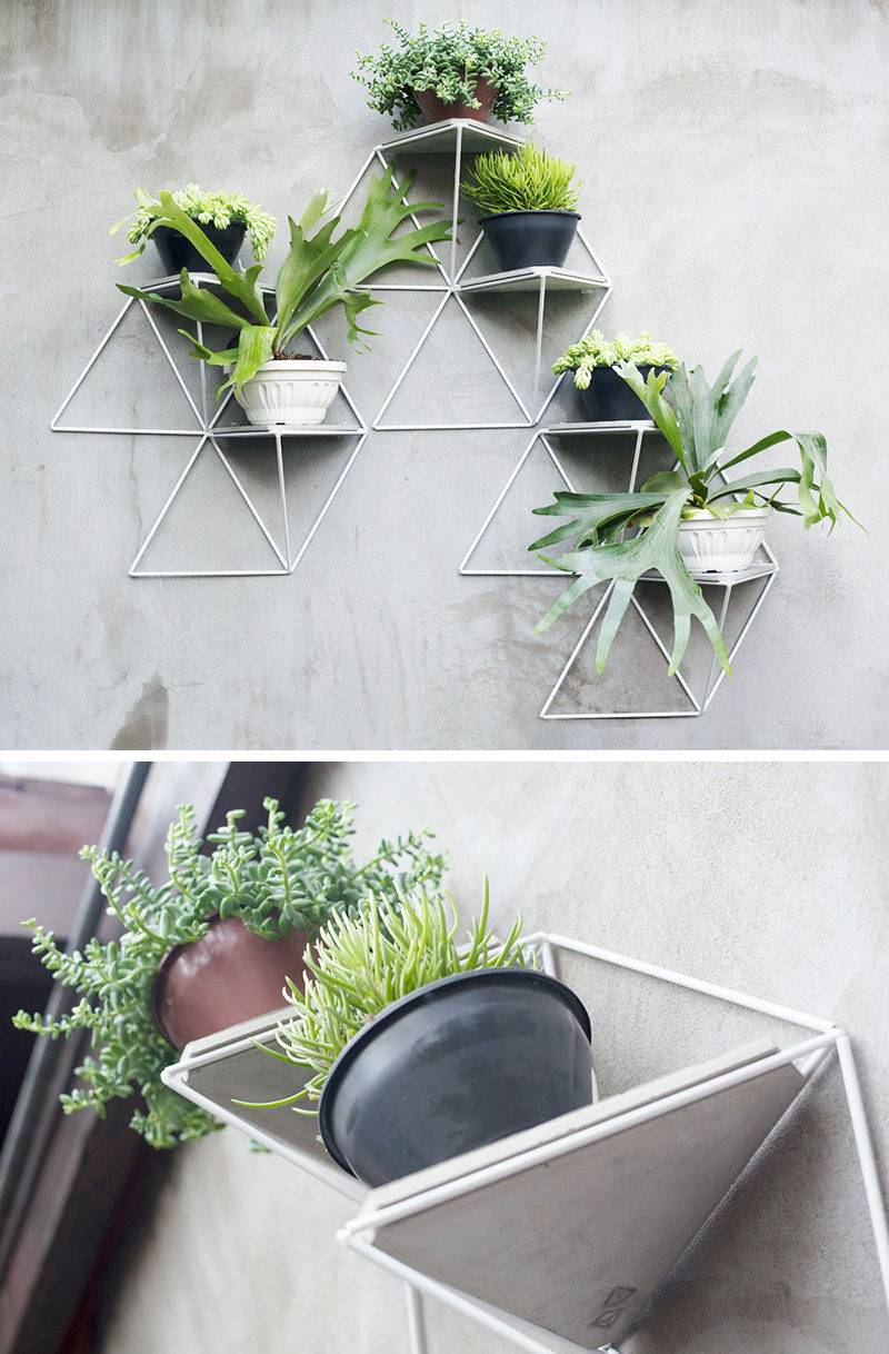 Stunning Wall Planters