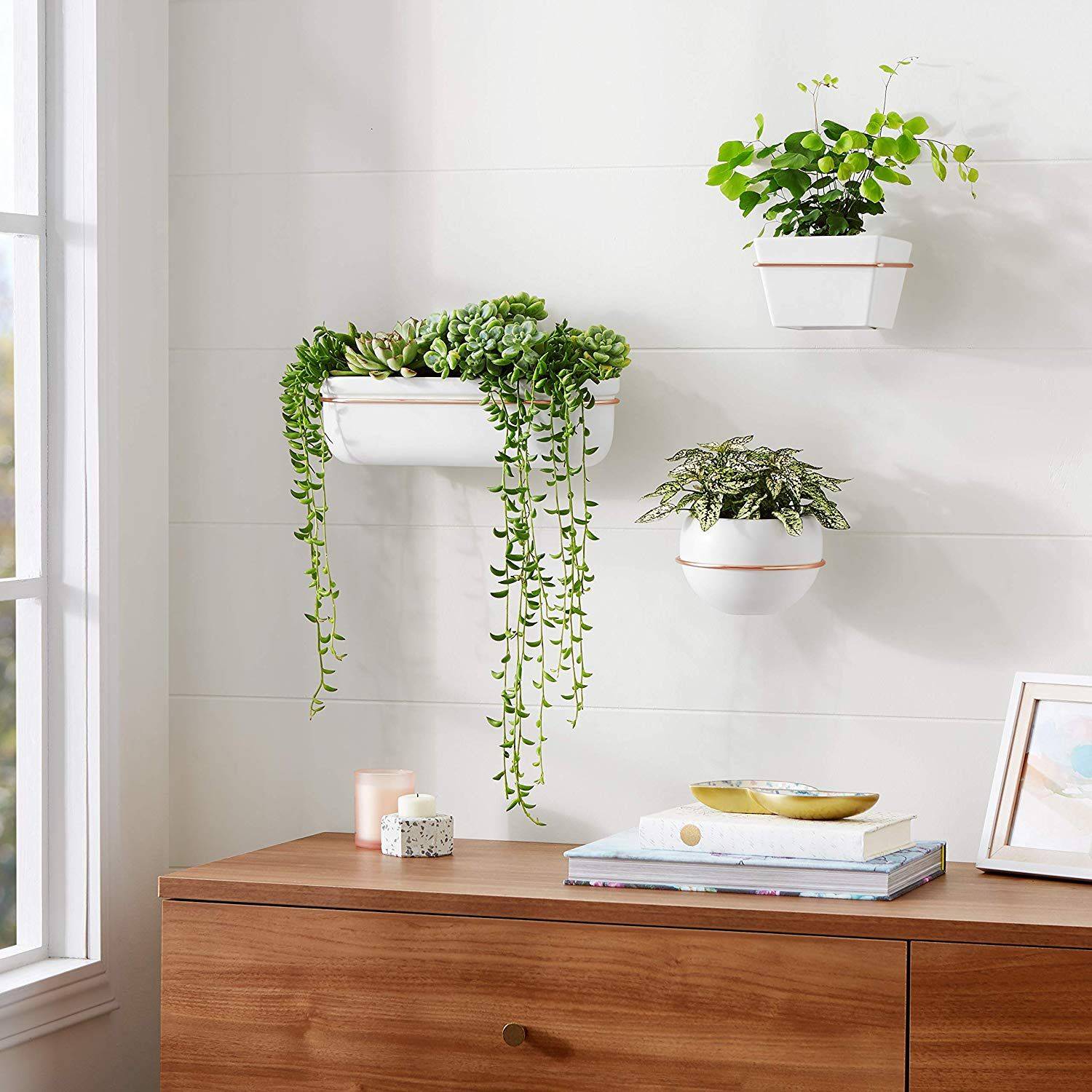 Diy Vertical Wall Planter