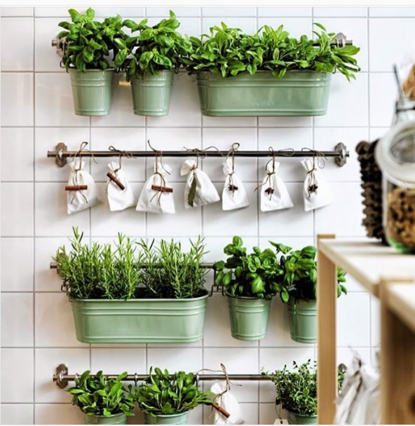 Indoor Garden Ideas