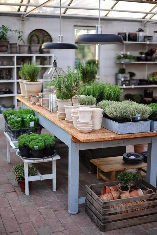 Best Indoor Winter Planter Decoration Ideas